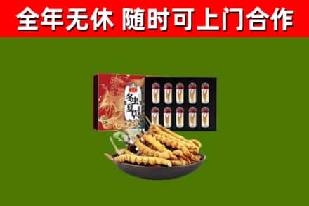 图们市烟酒回收冬虫夏草礼盒.jpg